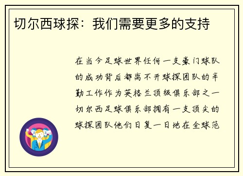 切尔西球探：我们需要更多的支持