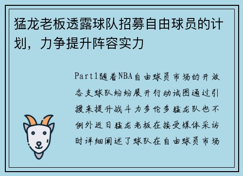 猛龙老板透露球队招募自由球员的计划，力争提升阵容实力